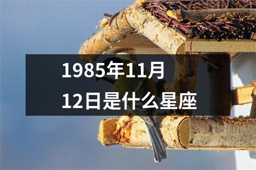 1985年11月12日是什么星座