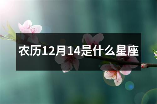 农历12月14是什么星座