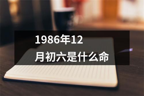 1986年12月初六是什么命