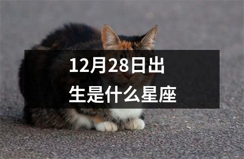 12月28日出生是什么星座