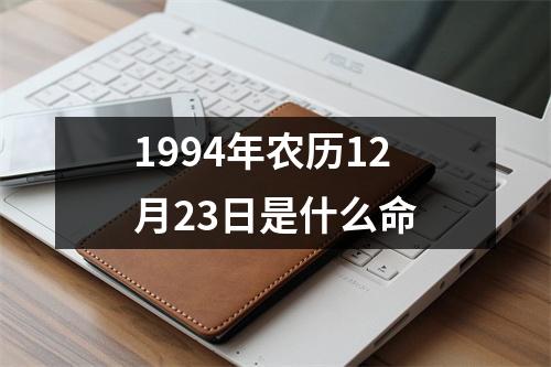 1994年农历12月23日是什么命