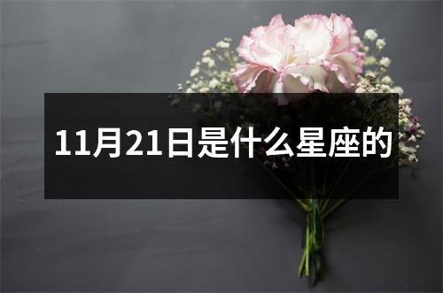 11月21日是什么星座的