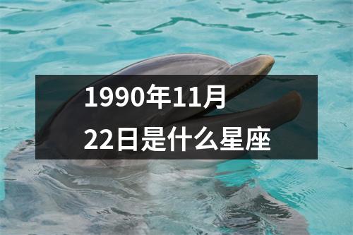 1990年11月22日是什么星座