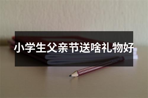 小学生父亲节送啥礼物好