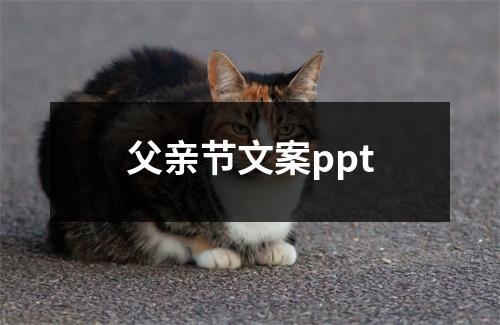 父亲节文案ppt