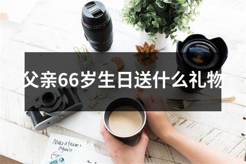 父亲66岁生日送什么礼物