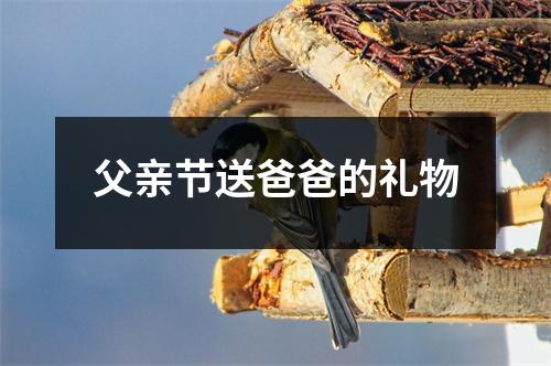 父亲节送爸爸的礼物