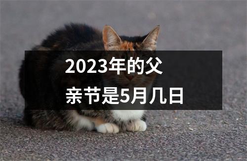 2023年的父亲节是5月几日