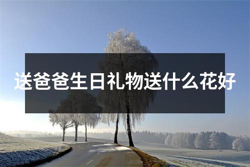 送爸爸生日礼物送什么花好