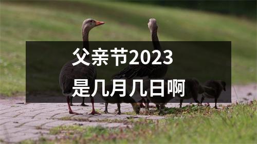 父亲节2023是几月几日啊