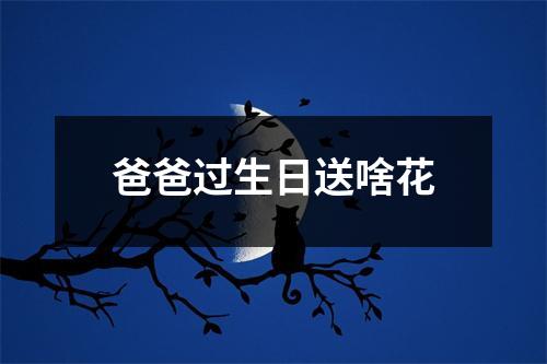 爸爸过生日送啥花