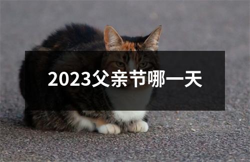 2023父亲节哪一天