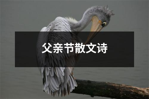 父亲节散文诗