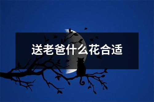 送老爸什么花合适