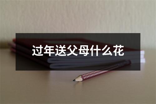 过年送父母什么花