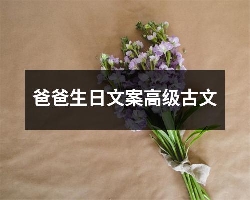 爸爸生日文案高级古文