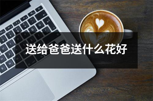 送给爸爸送什么花好