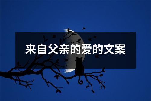 来自父亲的爱的文案