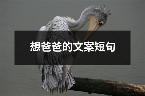 想爸爸的文案短句