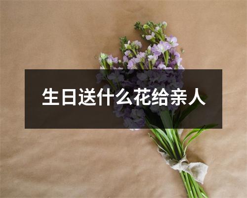 生日送什么花给亲人