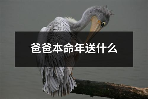 爸爸本命年送什么