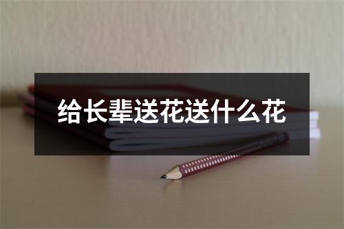 给长辈送花送什么花