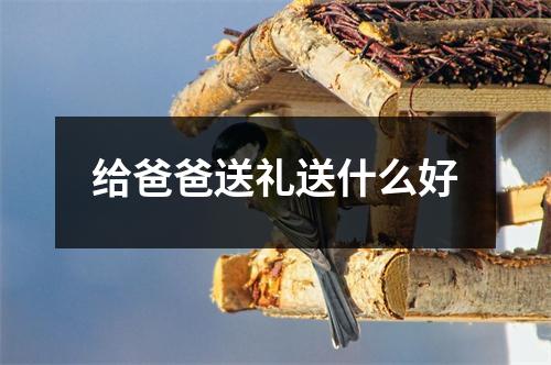 给爸爸送礼送什么好