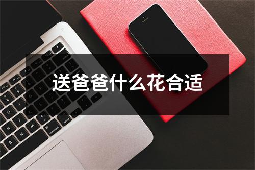 送爸爸什么花合适