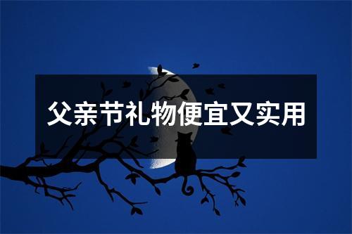 父亲节礼物便宜又实用