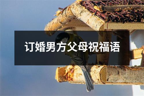 订婚男方父母祝福语