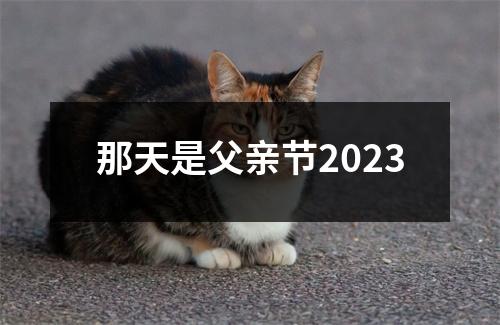 那天是父亲节2023