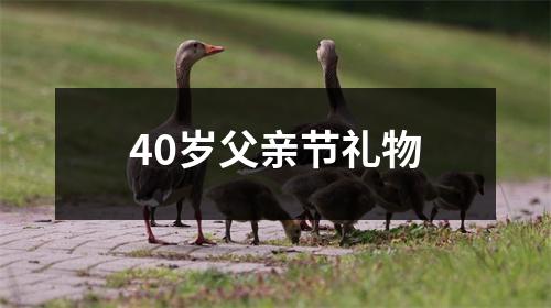 40岁父亲节礼物