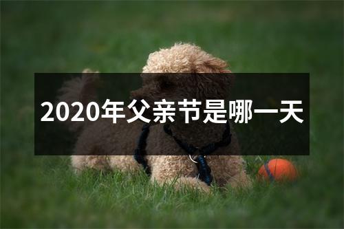 2020年父亲节是哪一天