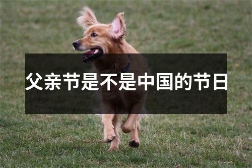 父亲节是不是的节日