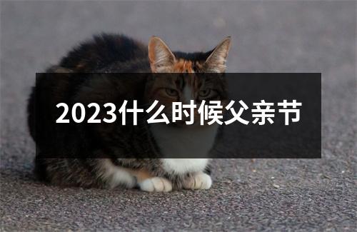 2023什么时候父亲节