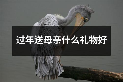 过年送母亲什么礼物好