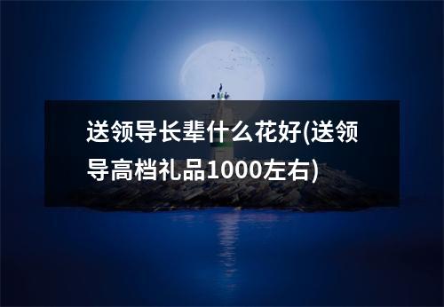 送领导长辈什么花好(送领导高档礼品1000左右)