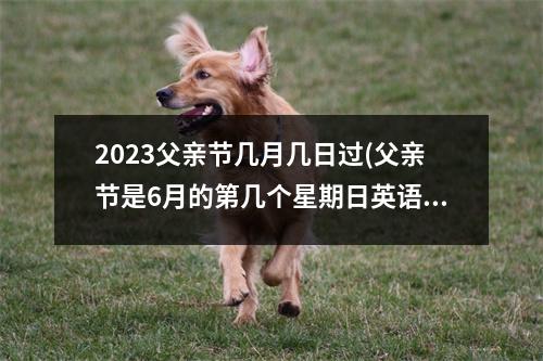 2023父亲节几月几日过(父亲节是6月的第几个星期日英语)