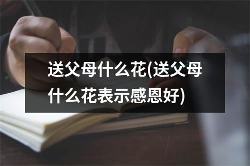 送父母什么花(送父母什么花表示感恩好)