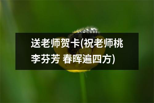 送老师贺卡(祝老师桃李芬芳 春晖遍四方)