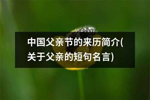 父亲节的来历简介(关于父亲的短句名言)