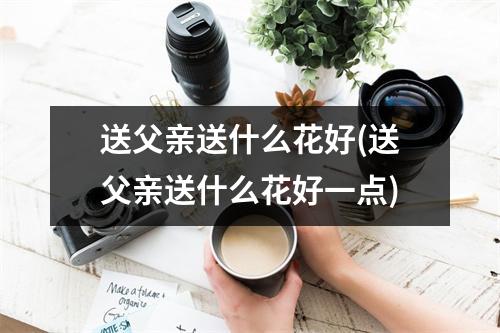 送父亲送什么花好(送父亲送什么花好一点)