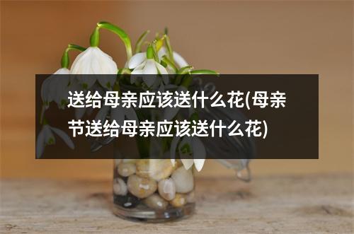 送给母亲应该送什么花(母亲节送给母亲应该送什么花)