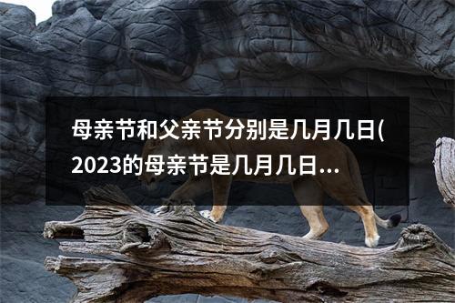 母亲节和父亲节分别是几月几日(2023的母亲节是几月几日)