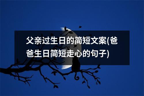 父亲过生日的简短文案(爸爸生日简短走心的句子)