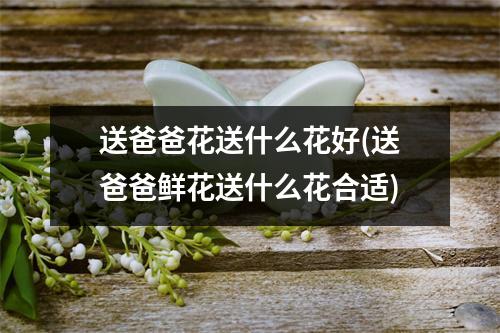 送爸爸花送什么花好(送爸爸鲜花送什么花合适)