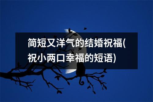 简短又洋气的结婚祝福(祝小两口幸福的短语)