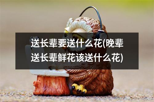 送长辈要送什么花(晚辈送长辈鲜花该送什么花)