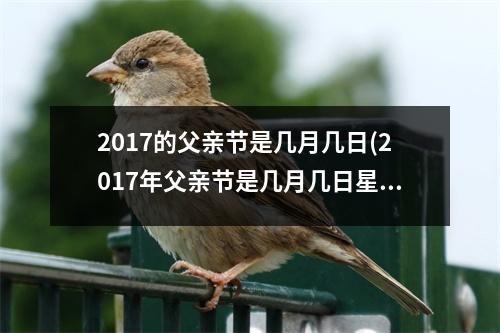 2017的父亲节是几月几日(2017年父亲节是几月几日星期几)