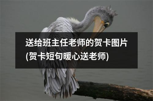 送给班主任老师的贺卡图片(贺卡短句暖心送老师)